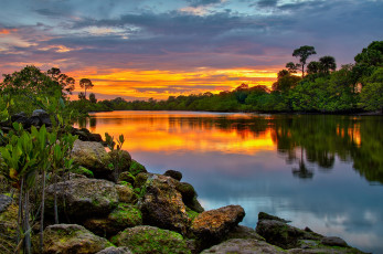 Картинка природа восходы закаты лес зарево тучи камни река