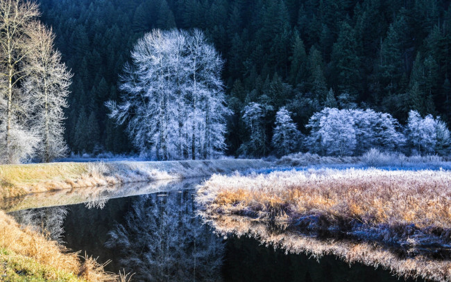 Обои картинки фото природа, зима, деревья, река, иней