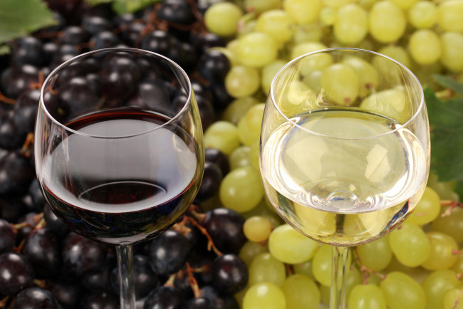 Обои картинки фото еда, напитки,  вино, бокалы, вино, виноград, белое, красное