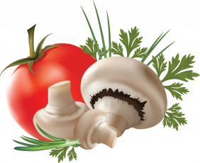 Картинка векторная+графика еда приправа грибы помидор