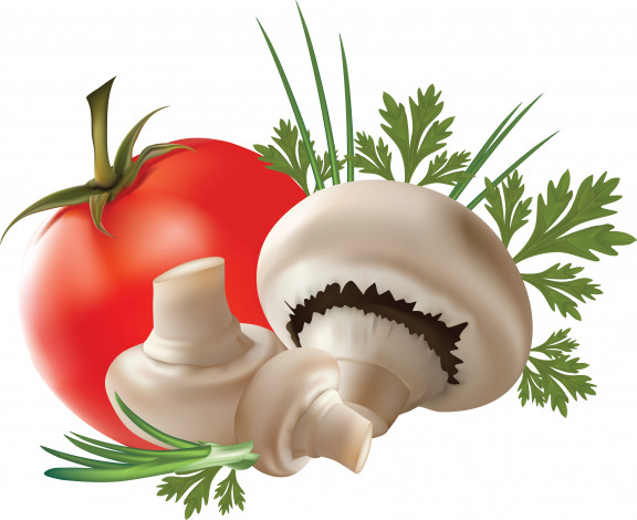 Обои картинки фото векторная графика, еда, приправа, грибы, помидор