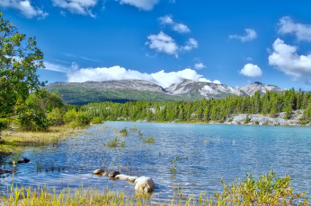 Картинка природа реки озера летний пейзаж природы аляски
