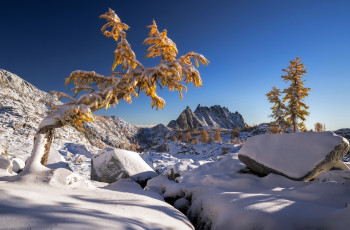 Картинка природа зима небо снег