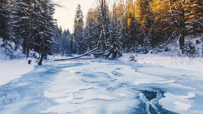 Обои картинки фото природа, зима, лёд, река, лес