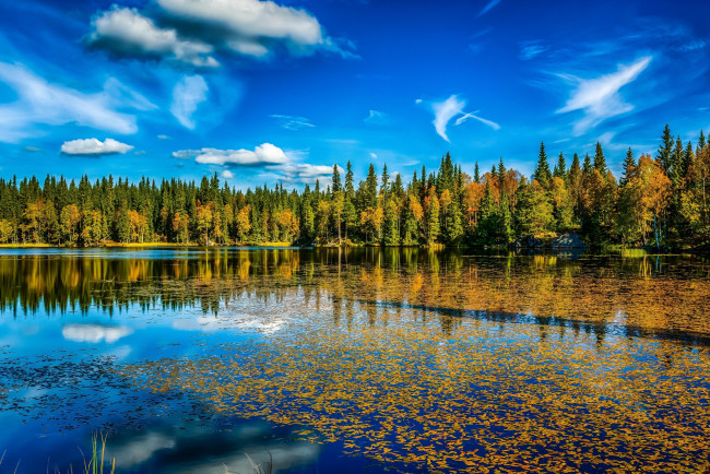 Обои картинки фото природа, реки, озера, облака, листья, осень, деревья, озеро, небо