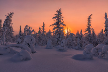 Картинка природа восходы закаты салехард снег деревья россия