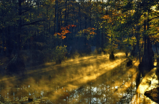 Обои картинки фото природа, лес, осень, вода