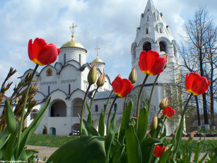 обоя тюльпаны, города, православные, церкви, монастыри