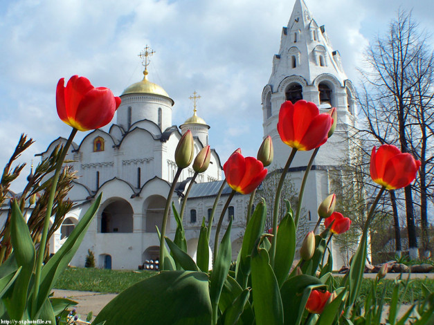 Обои картинки фото тюльпаны, города, православные, церкви, монастыри