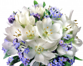 Картинка цветы букеты композиции белые сиреневые