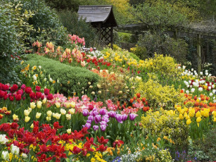 Картинка цветы разные вместе много беседка тюльпаны