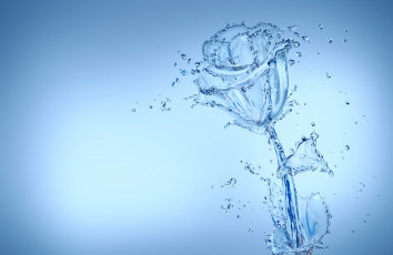 Картинка 3д графика flowers цветы капли роза вода