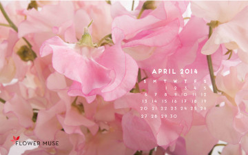 Картинка календари цветы розовый