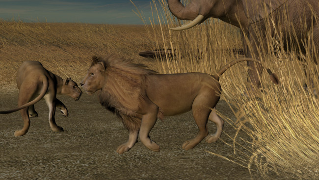 Обои картинки фото 3д графика, animals , животные, сафари, львы, слон