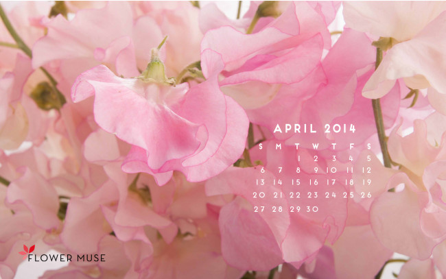 Обои картинки фото календари, цветы, розовый