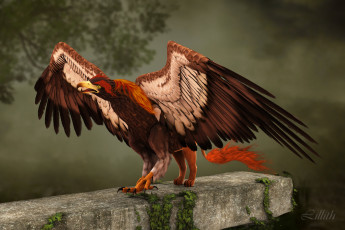 Картинка рисованное животные +сказочные +мифические когти орел
