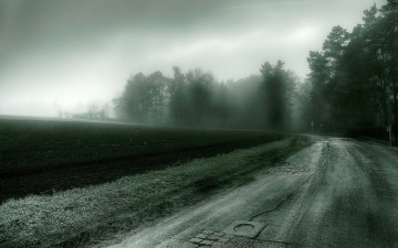 Картинка природа дороги поле туман дорога поворот деревья лес