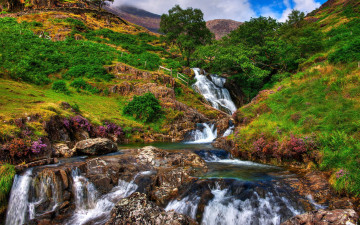 Картинка природа водопады пейзаж горный рок дерево водопад национальный парк сноудония  уэльс