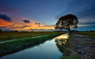 Картинка природа восходы закаты река закат пейзаж дерево
