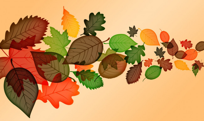 Обои картинки фото векторная графика, природа , nature, листья, осень, фон