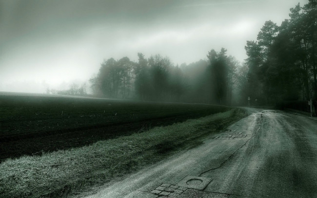 Обои картинки фото природа, дороги, поле, туман, дорога, поворот, деревья, лес