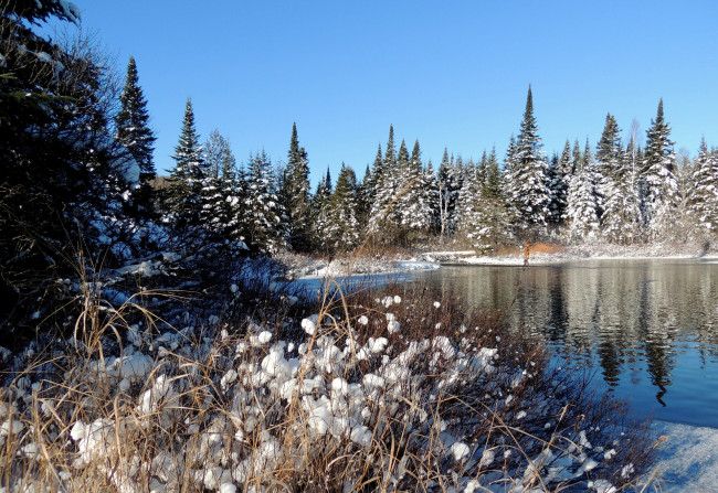 Обои картинки фото природа, реки, озера, деревья, снег, лес, река, зима, небо