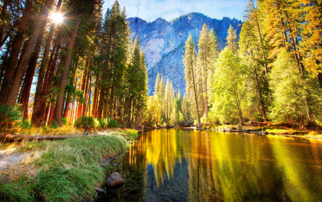 Обои картинки фото природа, реки, озера, лето, сосны, лучи, солнца, горы, река, трава