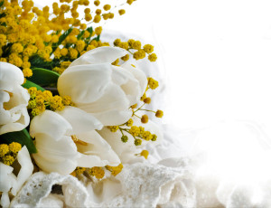 Картинка цветы букеты +композиции тюльпаны мимоза
