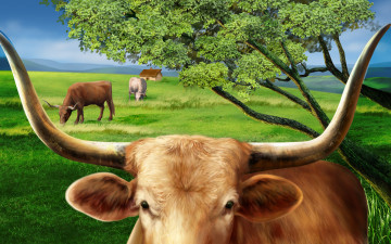 Картинка рисованные животные коровы