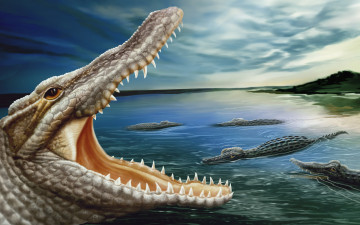 Картинка рисованные животные крокодилы