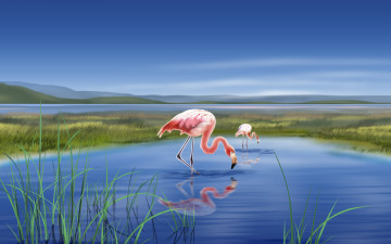 Картинка рисованные животные птицы фламинго