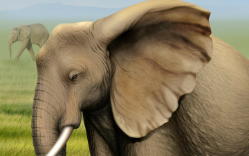 Картинка рисованные животные слоны