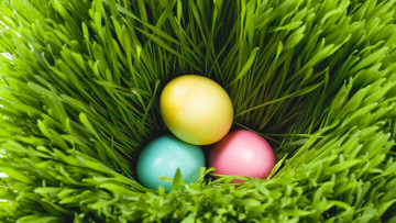 Картинка праздничные пасха яйца трава