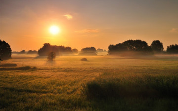 Картинка природа восходы закаты туман поле утро пейзаж