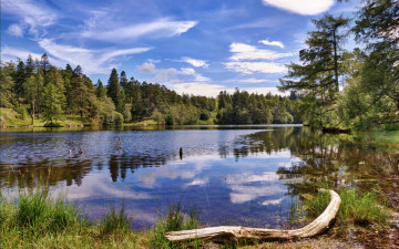 Картинка природа реки озера камни озеро лес горы