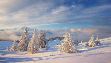 Картинка природа зима лес ёлочки холмы холод пейзаж ёлки сказочно тени горы сугробы мороз ели снег облака небо