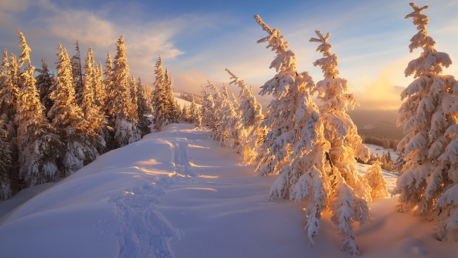 Обои картинки фото природа, зима, лес, снег, рассвет, небо, облака, солнечно, сугробы, лыжня, красота, ели, освещение, мороз, свет, лучи, ёлки, холмы, закат, пейзаж, тропинка, и, солнце, день, чудесный