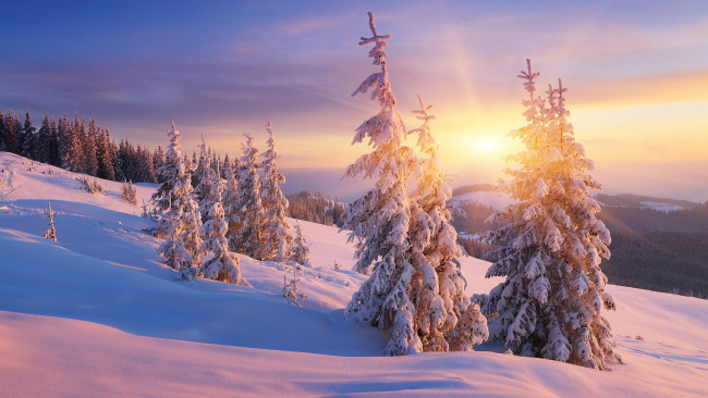 Обои картинки фото природа, зима, сказочно, облака, ёлки, рассвет, красота, пейзаж, сугробы, склон, ветки, снег, лучи, ели, горы, мороз, и, солнце, день, чудесный, лес, холмы, небо, тени, закат