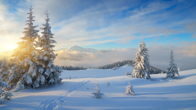 Обои картинки фото природа, зима, сугробы, вершина, ёлки, небо, красиво, деревня, домики, тени, сказочно, мороз, и, солнце, день, чудесный, склон, лес, ели, красота, лыжня, холмы, тропинка, горы, пейзаж, снег, лучи, облака