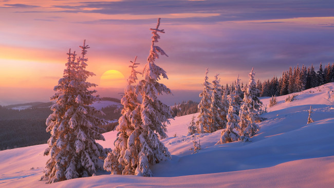 Обои картинки фото природа, зима, ёлки, ёлочки, сказочно, тени, мороз, склон, снег, ели, вечер, красота, холмы, горы, облака, солнце, закат