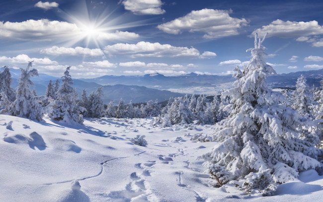 Обои картинки фото природа, зима, ветки, холмы, тени, горы, снег, лучи, сугробы, мороз, ели, лес, небо, солнце, облака, тропа, следы