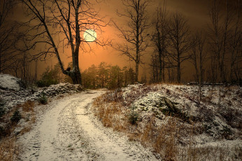Картинка природа дороги ночь проселочная дорога луна зима