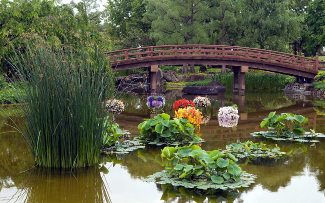 Обои картинки фото природа, парк, водоем, мостик, цветы