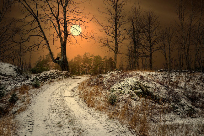 Обои картинки фото природа, дороги, ночь, проселочная, дорога, луна, зима