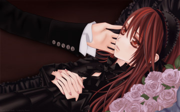 Картинка аниме vampire knight