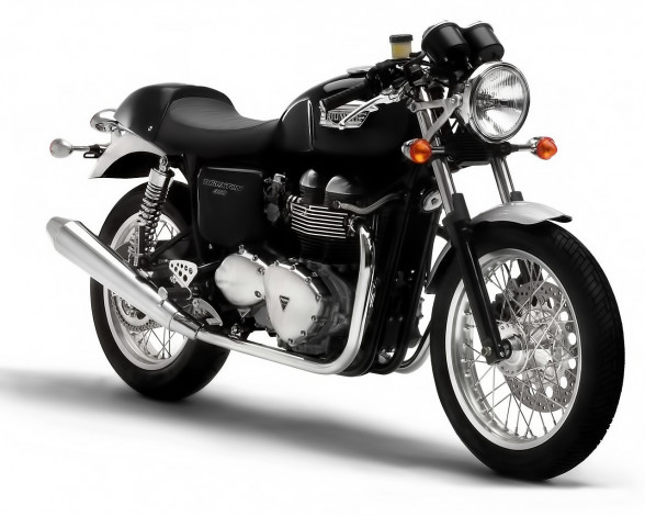 Обои картинки фото triumph, thruxton, мотоциклы