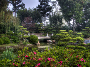 Картинка earl burns miller japanese garden california usa природа парк вода мостик цветы деревья