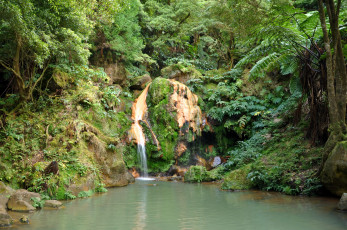 Картинка португалия остров сан мигель природа водопады сан-мигель водопад река деревья