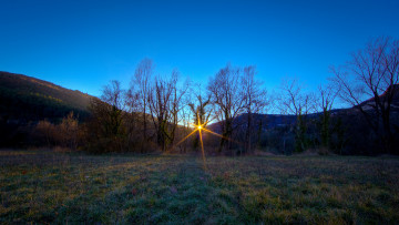 Картинка природа восходы закаты полянка деревья солнце лучи