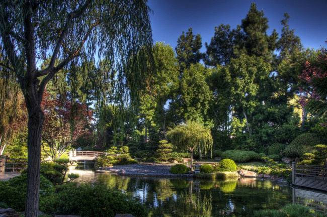 Обои картинки фото earl, burns, miller, japanese, garden, природа, парк